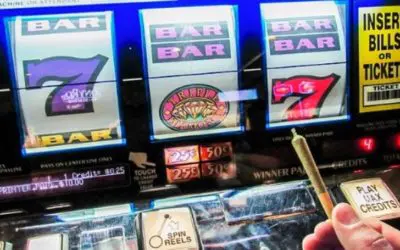 Rotten Slot Review + IGT Classics: From Zombie Reels to Star Trek Bonuses and Big Wins